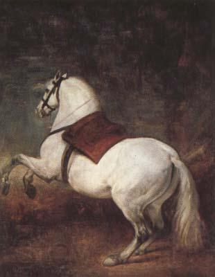 Diego Velazquez A White Horse (df01) Germany oil painting art